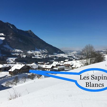 Ferienwohnung Les Sapins Blancs Vacheresse Exterior foto