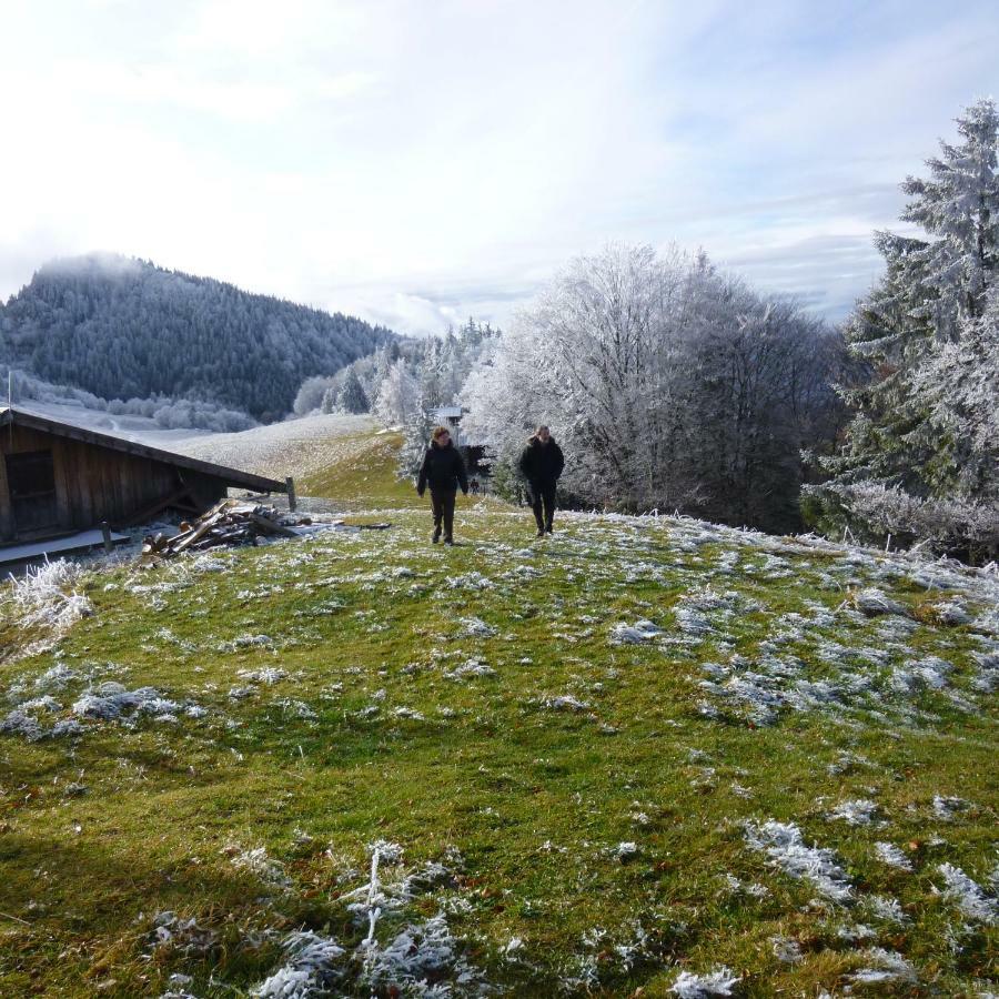 Ferienwohnung Les Sapins Blancs Vacheresse Exterior foto